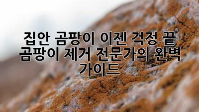 집안 곰팡이, 이젠 걱정 끝! 곰팡이 제거 전문가의 완벽 가이드