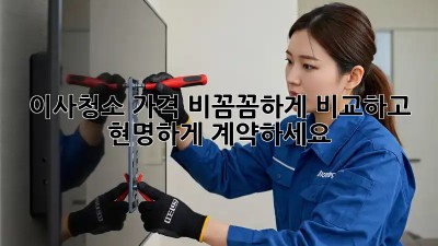 이사청소 가격 비꼼꼼하게 비교하고 현명하게 계약하세요!