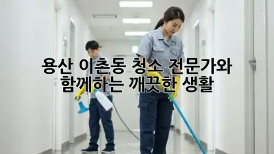 용산 이촌동 청소 전문가와 함께하는 깨끗한 생활