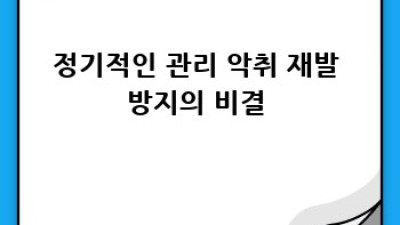 해남 황산면 악취 제거 청소 완벽 가이드