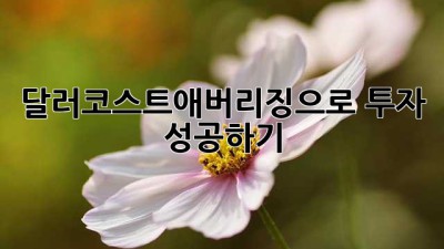 달러코스트애버리징으로 투자 성공하기